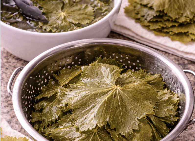 Gefüllte Weinblätter (Dolmas)_1