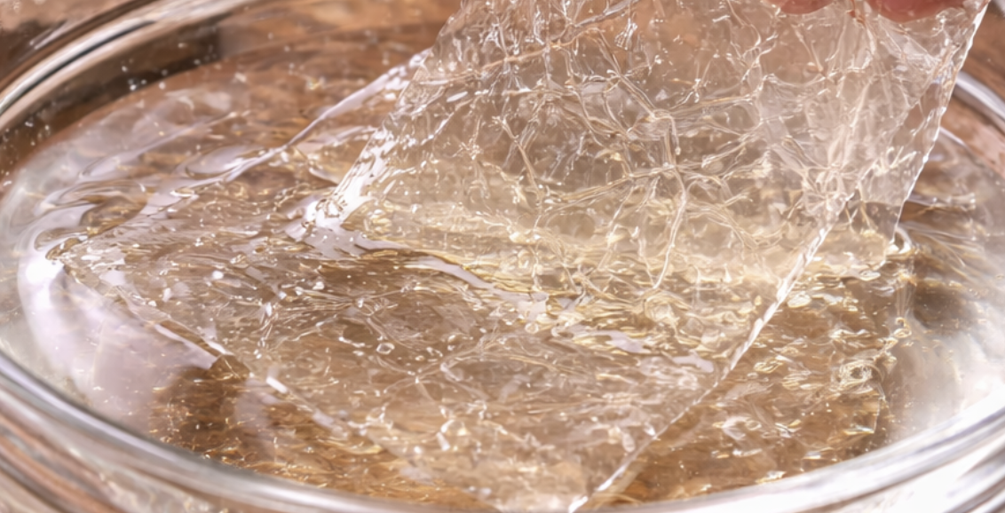 Mango-Kokos-Panna-Cotta_1