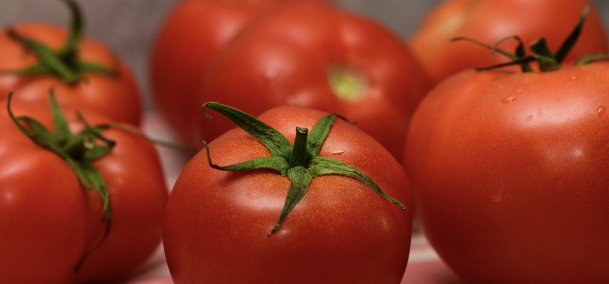 tomato_1