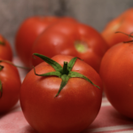 tomato_1