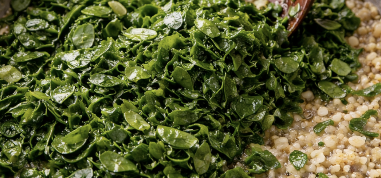 Gebratener Zander auf Rahmspinat_2