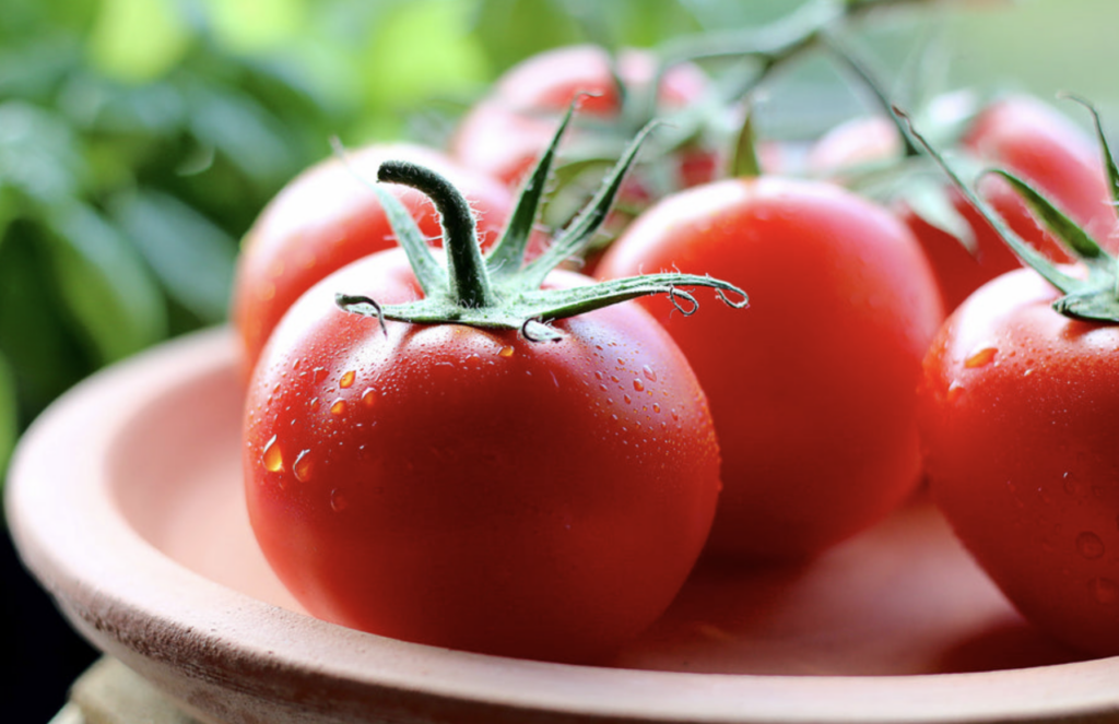 tomato_4