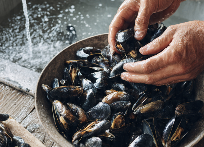 Muschelsuppe_1